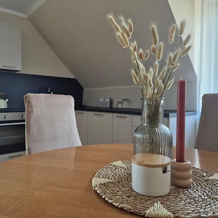 Apartamenty Uchnasta Busko-Zdrój Exterior foto
